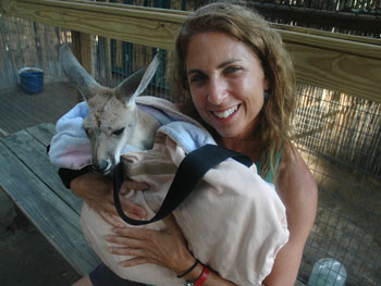 Quality time with “Lolly”, an absolutely adorable young kangaroo.